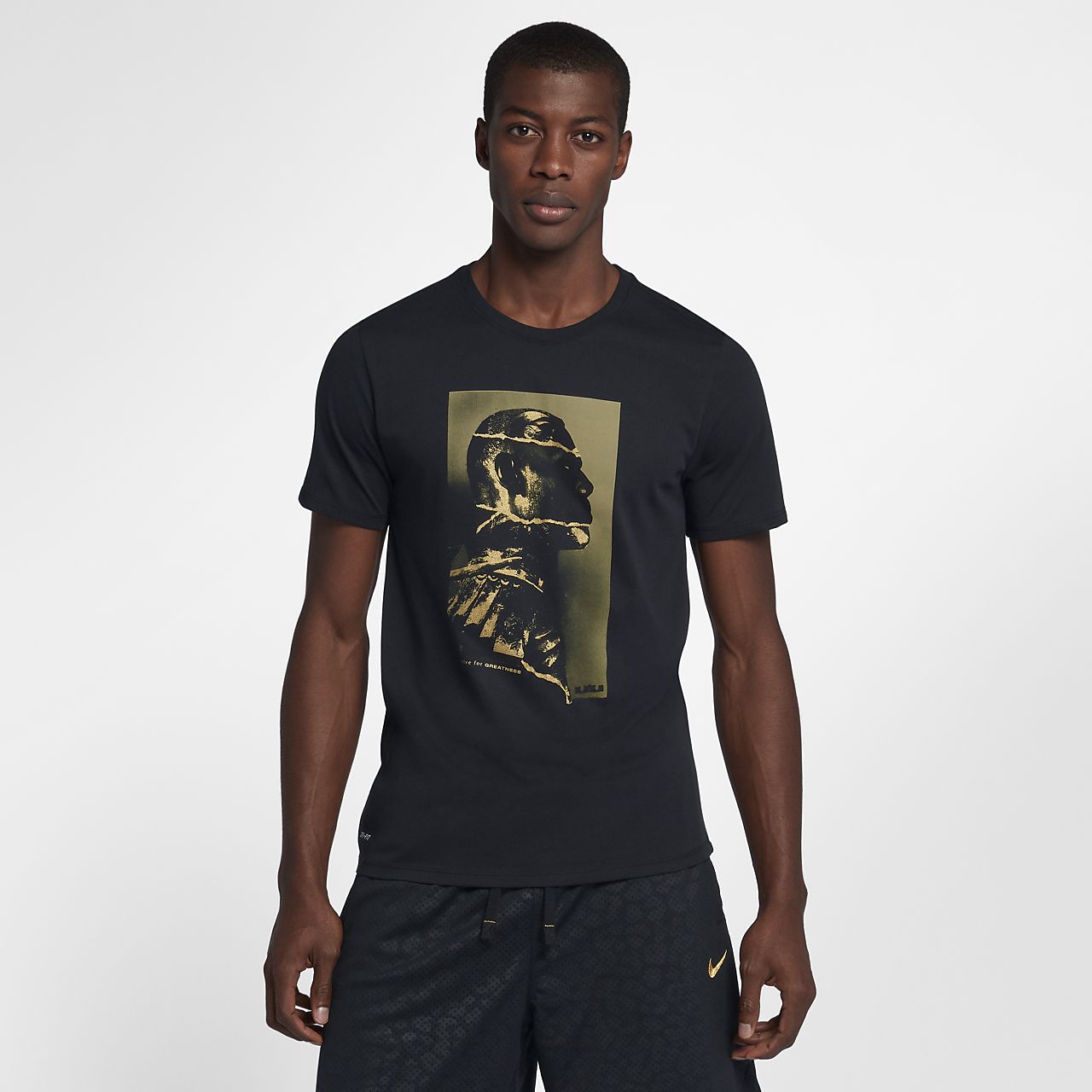camiseta nike lebron